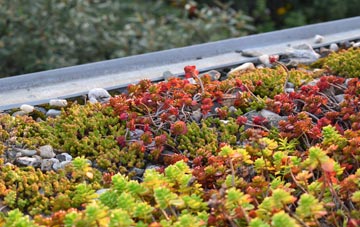 the cost of Runcorn green roof installation