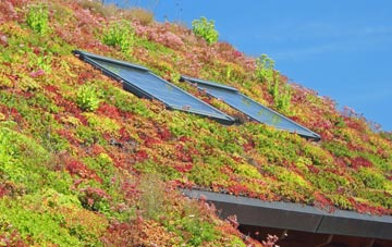 Runcorn living roof systems